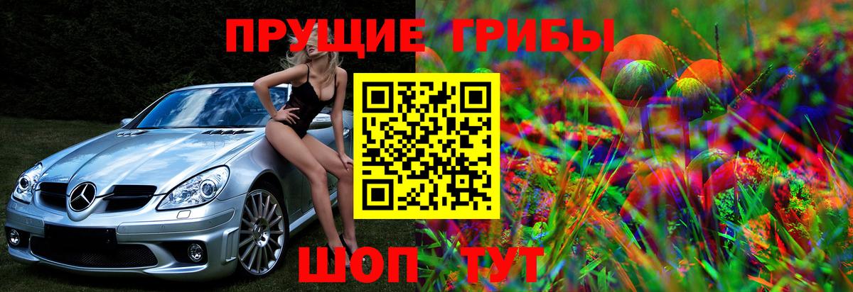 Псилоцибиновые грибы GOLDEN TEACHER Гагарин