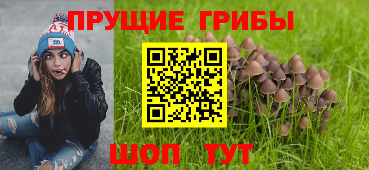 Псилоцибиновые грибы GOLDEN TEACHER  Галлюциногенные грибы прущие грибы  Гагарин  Вход с VPN 